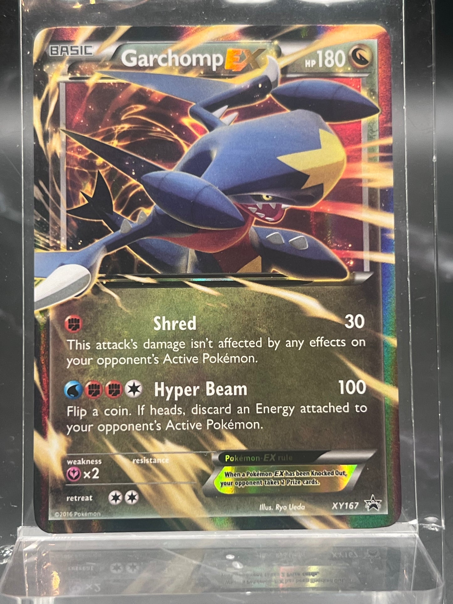 Garchomp EX XY167 – XY Promo – Near Mint (NM) – Pokémon Card – Canada